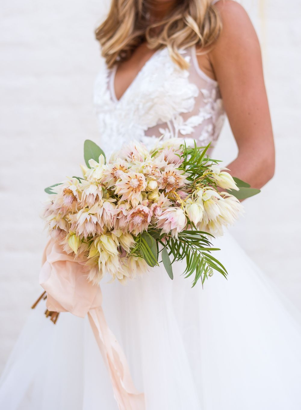 Loài hoa tên nghe bẽn lẽn như gái đôi mươi, nở rộ thành tuyệt phẩm, bền đẹp suốt cả tháng- Ảnh 5.