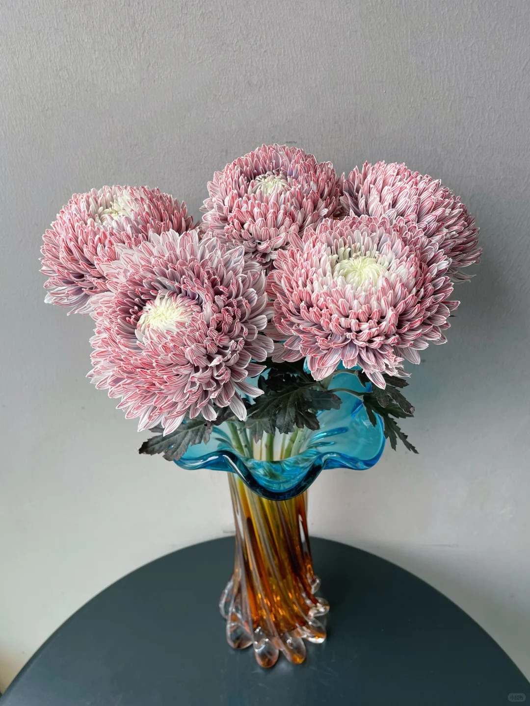 Chi hơn 300k rước bình hoa "khổng lồ" về nhà: Loài hoa định nghĩa lại hai chữ "phú quý" cho phòng khách ngày xuân - Ảnh 14. Chi hơn 300k rước bình hoa "khổng lồ" về nhà: Loài hoa định nghĩa lại hai chữ "phú quý" cho phòng khách ngày xuân - Ảnh 14.