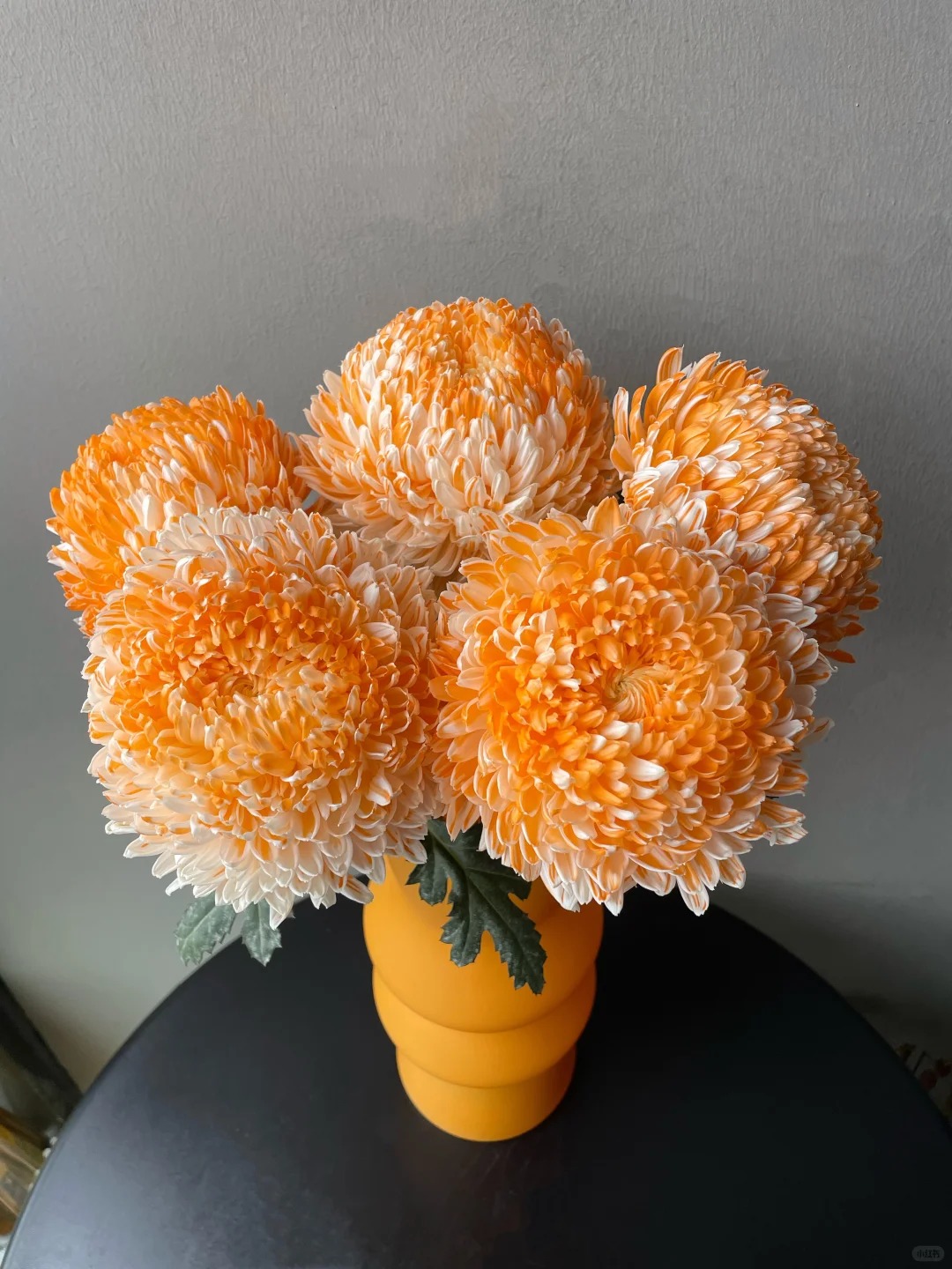 Chi hơn 300k rước bình hoa "khổng lồ" về nhà: Loài hoa định nghĩa lại hai chữ "phú quý" cho phòng khách ngày xuân - Ảnh 36. Chi hơn 300k rước bình hoa "khổng lồ" về nhà: Loài hoa định nghĩa lại hai chữ "phú quý" cho phòng khách ngày xuân - Ảnh 36.