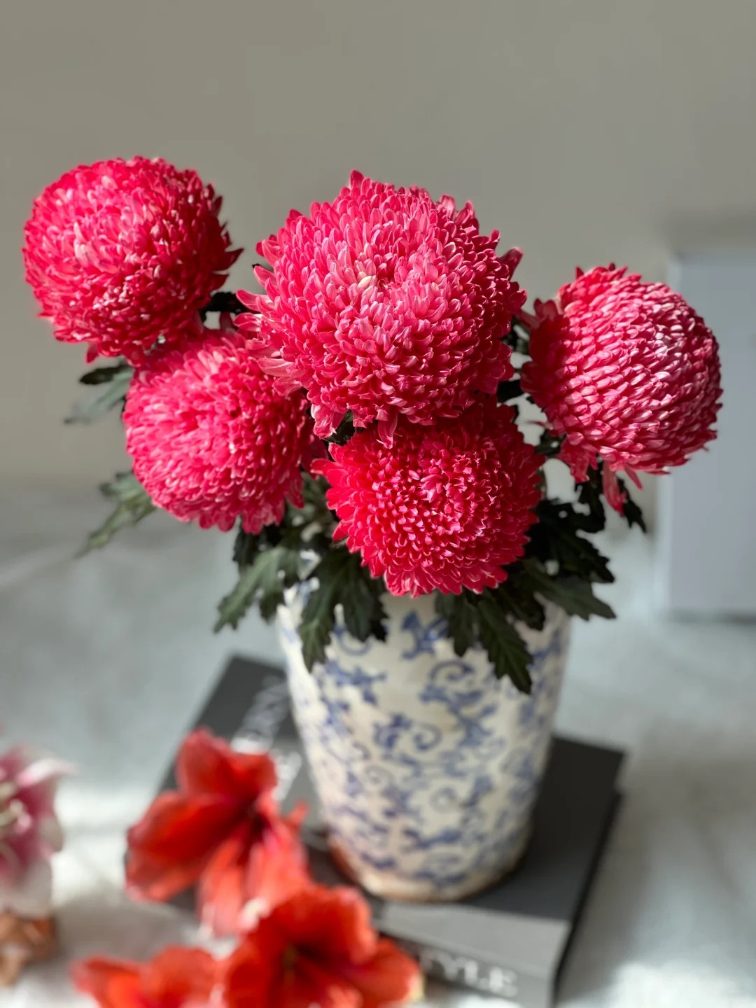 Chi hơn 300k rước bình hoa "khổng lồ" về nhà: Loài hoa định nghĩa lại hai chữ "phú quý" cho phòng khách ngày xuân - Ảnh 23. Chi hơn 300k rước bình hoa "khổng lồ" về nhà: Loài hoa định nghĩa lại hai chữ "phú quý" cho phòng khách ngày xuân - Ảnh 23.