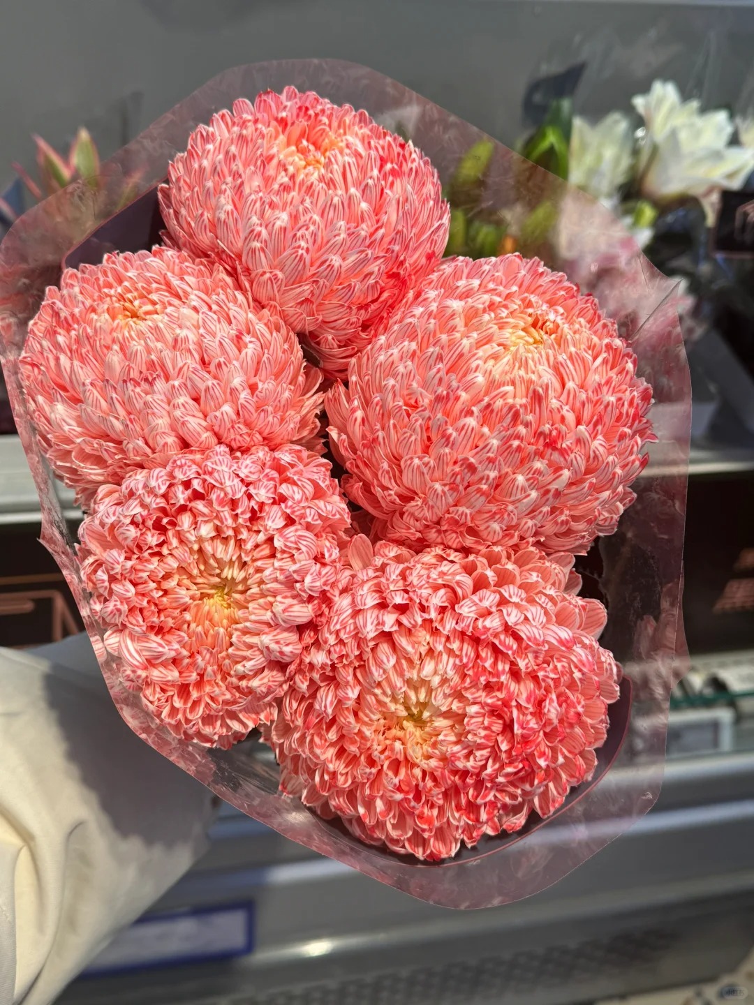 Chi hơn 300k rước bình hoa "khổng lồ" về nhà: Loài hoa định nghĩa lại hai chữ "phú quý" cho phòng khách ngày xuân - Ảnh 8. Chi hơn 300k rước bình hoa "khổng lồ" về nhà: Loài hoa định nghĩa lại hai chữ "phú quý" cho phòng khách ngày xuân - Ảnh 8.