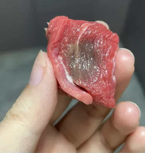 Thịt bò chuyển sang màu xám có phải bị hỏng? Chuyên gia chỉ mẹo xác định độ tươi của thịt bò- Ảnh 3. Thịt bò chuyển sang màu xám có phải bị hỏng? Chuyên gia chỉ mẹo xác định độ tươi của thịt bò- Ảnh 3.