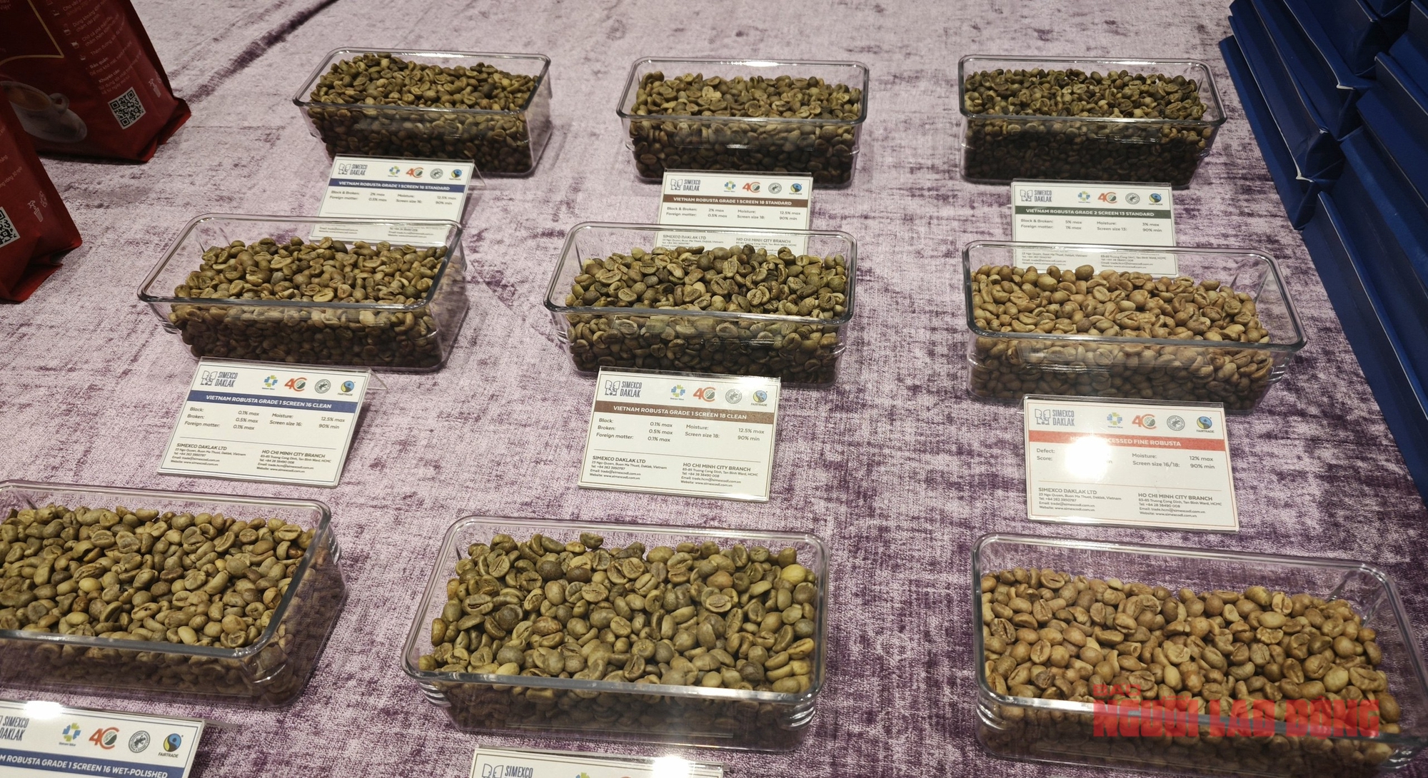 Giá cà phê hôm nay 31 - 1 giảm mạnh , xuất khẩu khả quan năm 2026 - Ảnh 2.