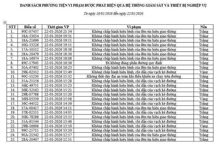Camera AI phát hiện 416 phương tiện vi phạm tại Ninh Bình chỉ trong một tuần- Ảnh 2.