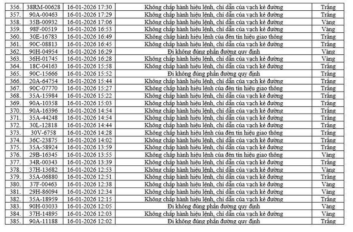 Camera AI phát hiện 416 phương tiện vi phạm tại Ninh Bình chỉ trong một tuần- Ảnh 14.