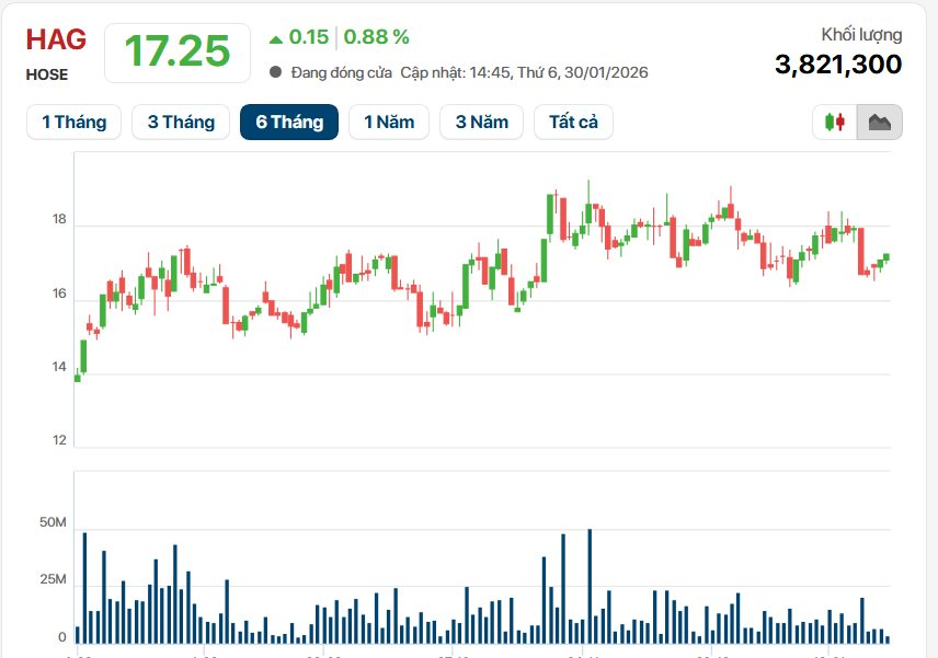 Ngày trở lại của Bầu Đức: HAGL lãi cao nhất lịch sử hơn 2.200 tỷ, tổng tài sản vượt mốc 1 tỷ USD- Ảnh 4.
