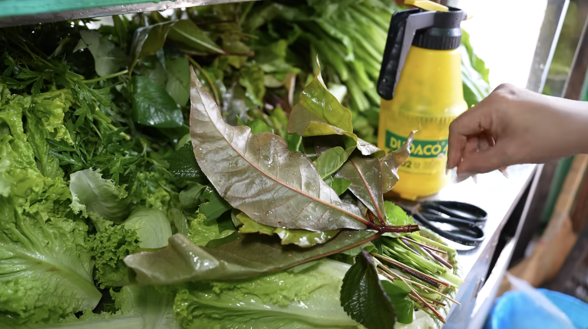 Chen chúc mua 1.000 cái bánh cống bất chấp chảo dầu đen kịt, thực khách vừa ăn ngon vừa nơm nớp lo cho sức khỏe- Ảnh 7. Chen chúc mua 1.000 cái bánh cống bất chấp chảo dầu đen kịt, thực khách vừa ăn ngon vừa nơm nớp lo cho sức khỏe- Ảnh 7.