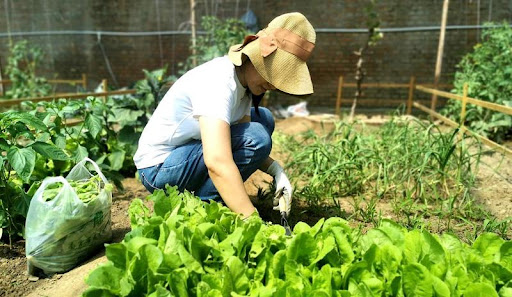 Lớn rồi mới biết: Người dạy tôi cách giàu lên không phải thầy tài chính, mà là mẹ tôi ở quê- Ảnh 3.