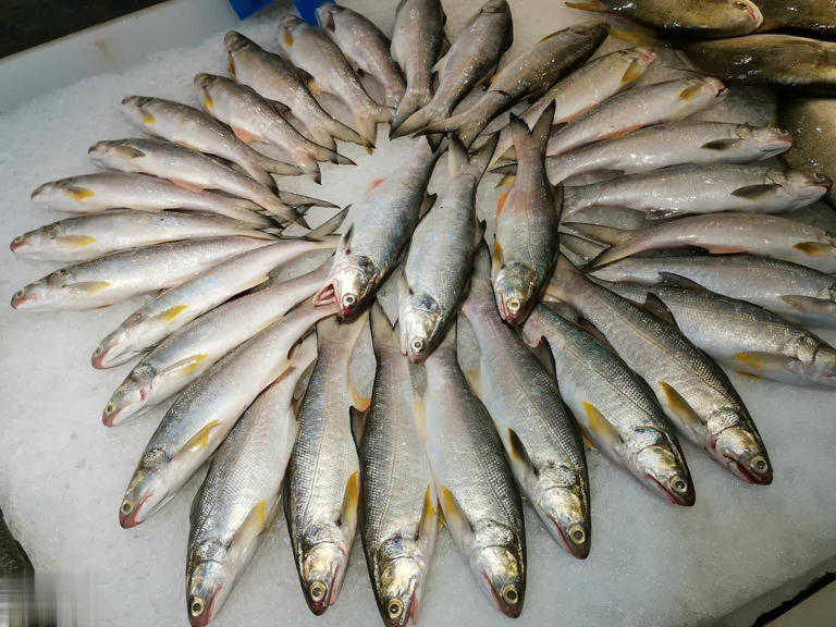 Mùa đông có 4 loại cá “dễ ngậm kim loại nặng” nên ăn ít, tiểu thương cảnh báo rẻ mấy cũng đừng mua- Ảnh 3.