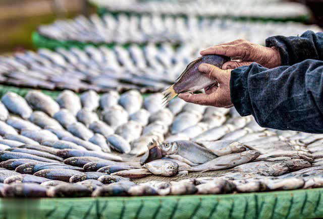 Mùa đông có 4 loại cá “dễ ngậm kim loại nặng” nên ăn ít, tiểu thương cảnh báo rẻ mấy cũng đừng mua- Ảnh 2.