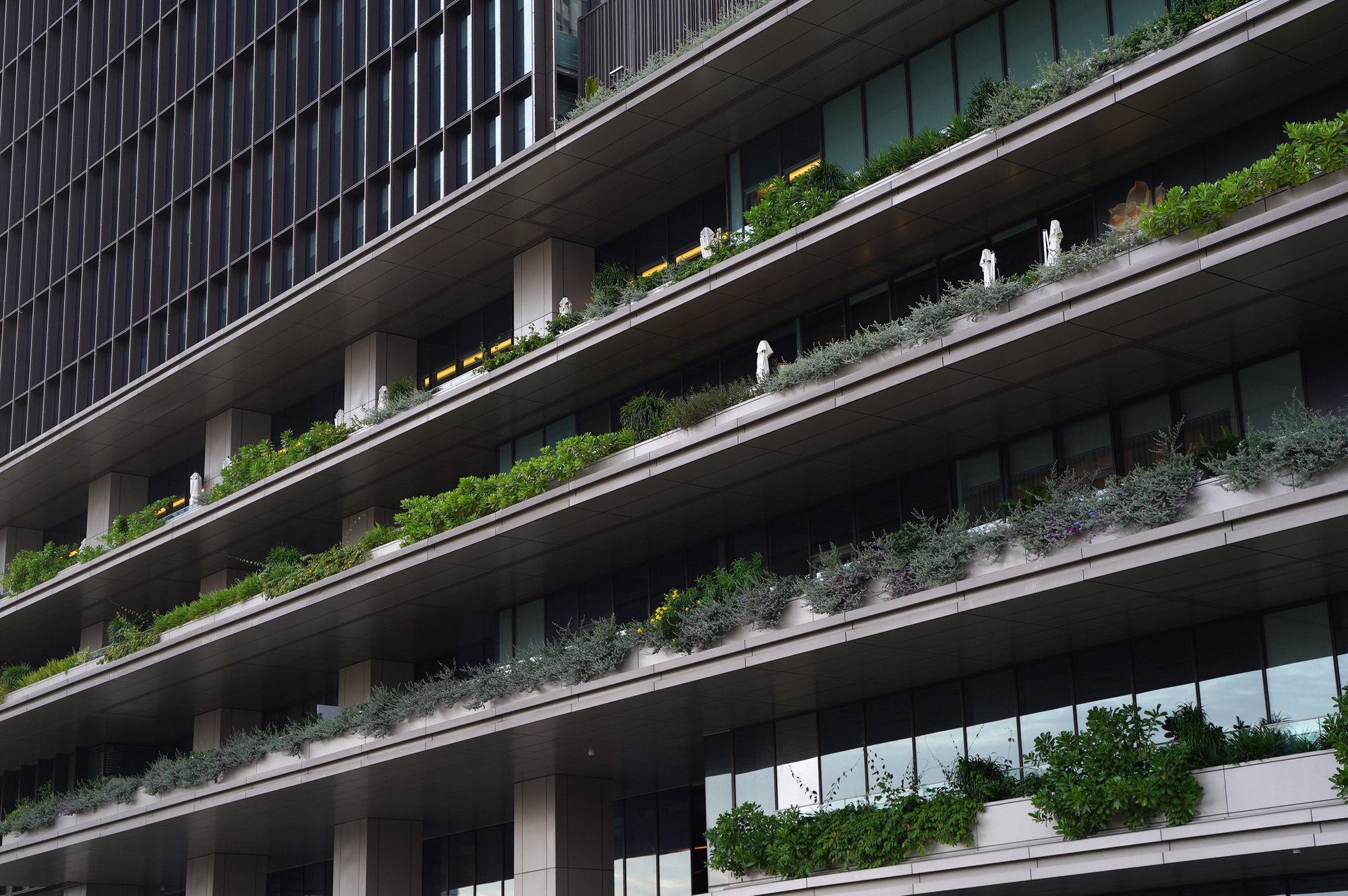 Tòa nhà cao thứ 3 TP.HCM lập tức soán ngôi đông khách nhất dịp lễ nhờ tung vườn hoa Tết khổng lồ- Ảnh 3.