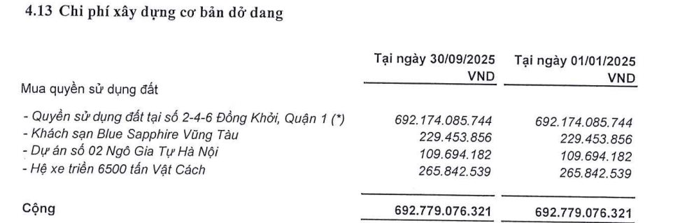 Lộ diện nhóm Novaland tại công ty nghìn tỷ nắm ‘đất vàng’ tại tp.HCM- Ảnh 1.