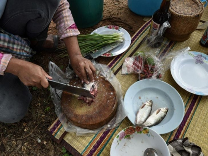 2 loại cá ăn nhiều gây ung thư trên toàn cầu nhưng nhiều người Việt vẫn ăn hàng ngày- Ảnh 2.