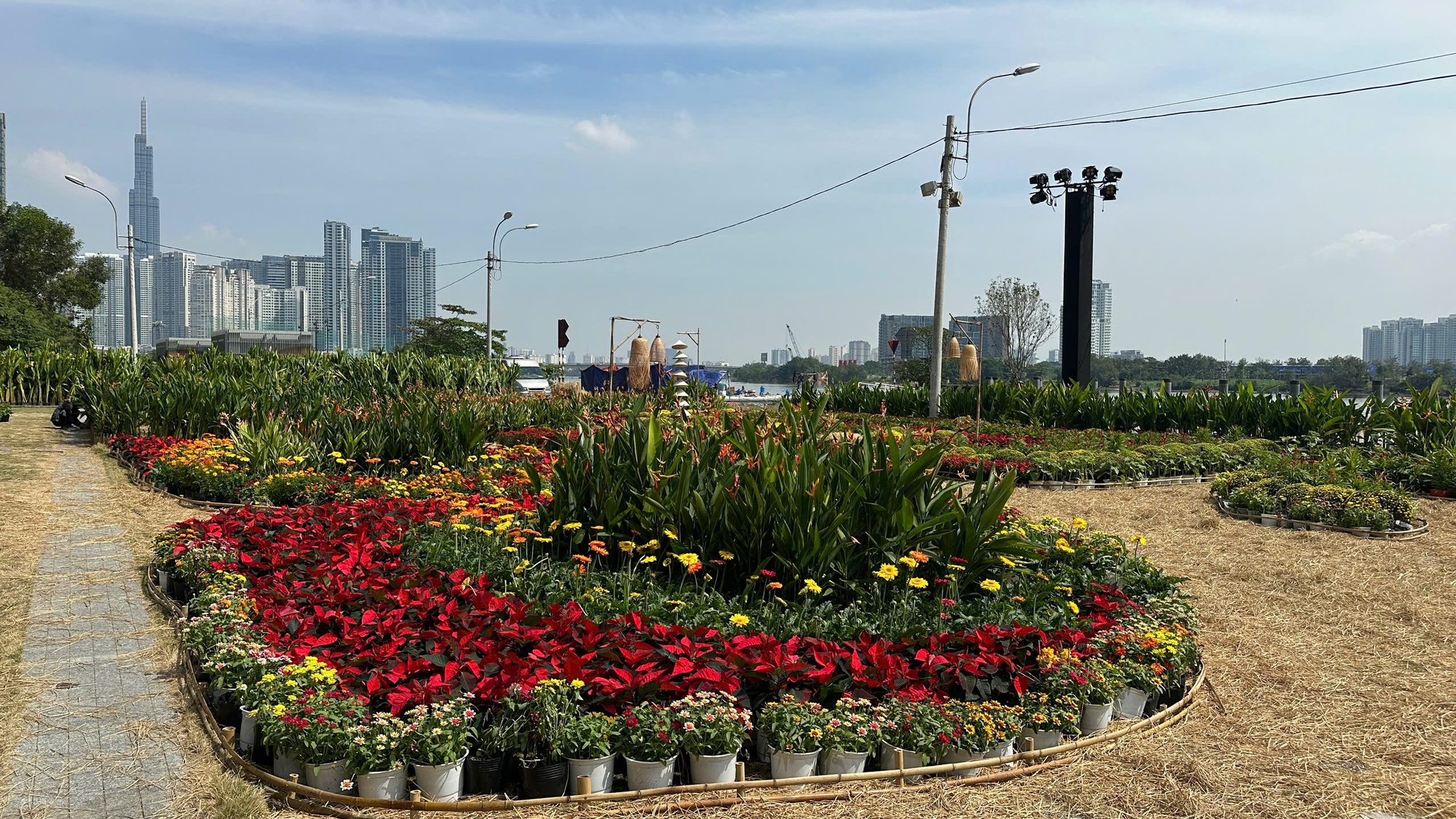 Tòa nhà cao thứ 3 TP.HCM lập tức soán ngôi đông khách nhất dịp lễ nhờ tung vườn hoa Tết khổng lồ- Ảnh 16.