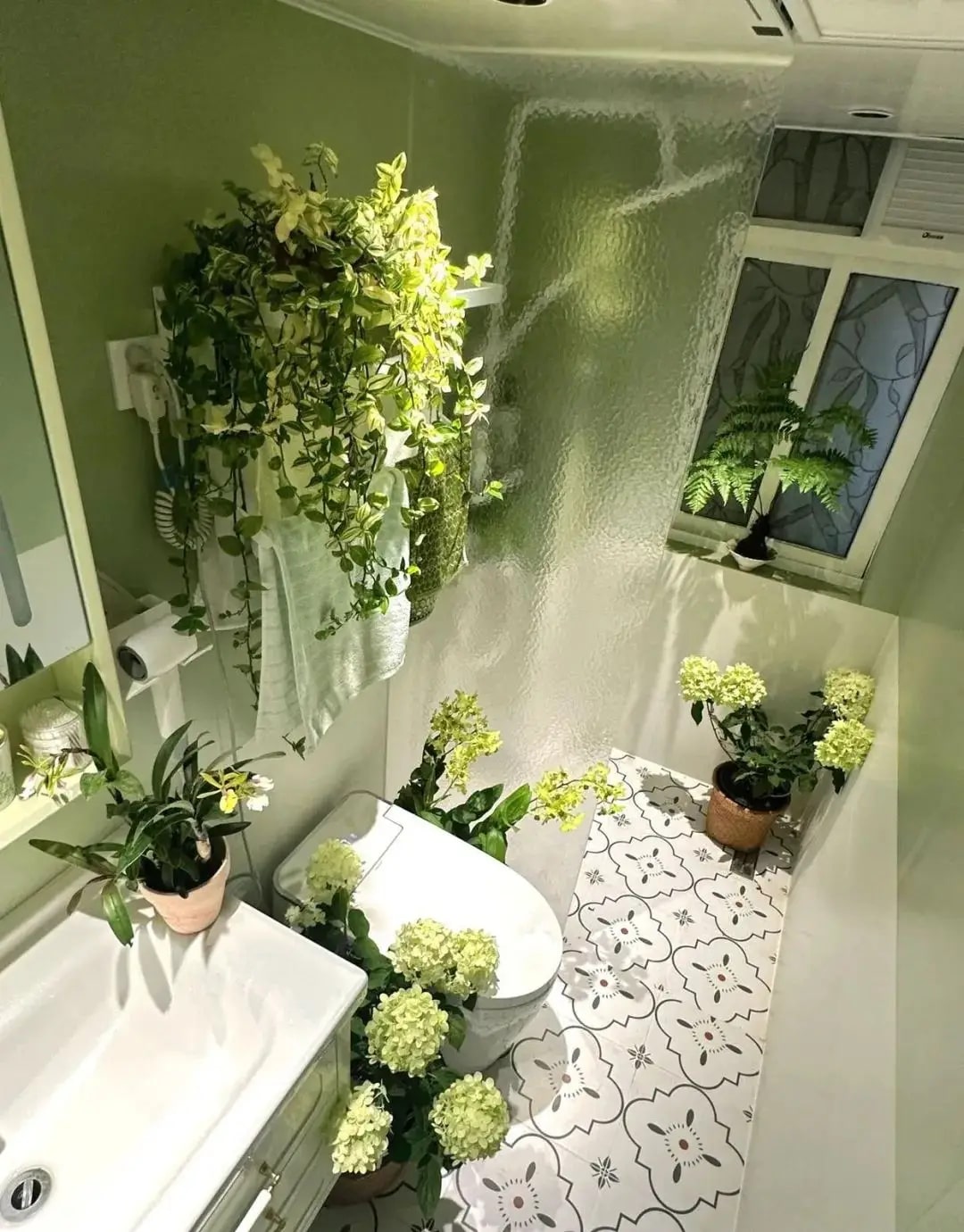 3 vị trí trong nhà thà để trống còn hơn trồng cây: Cây dễ chết, người uể oải- Ảnh 1. 3 vị trí trong nhà thà để trống còn hơn trồng cây: Cây dễ chết, người uể oải- Ảnh 1.