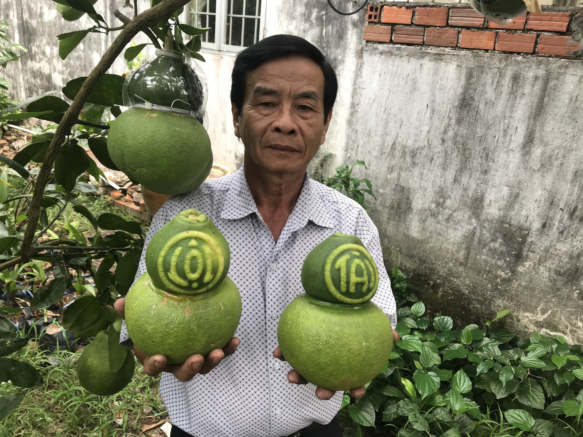 Thị trường Tết không còn mặn mà với trái cây "độc, lạ"? - Ảnh 2. Thị trường Tết không còn mặn mà với trái cây "độc, lạ"? - Ảnh 2.