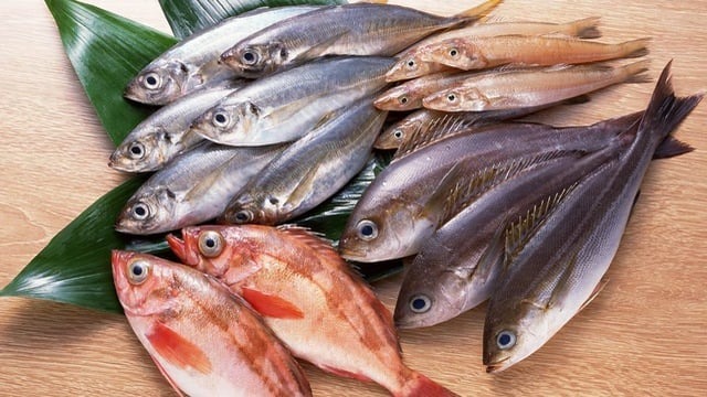 Top 4 loại cá "ngậm" nhiều thủy ngân bậc nhất - Ảnh 3. Top 4 loại cá "ngậm" nhiều thủy ngân bậc nhất - Ảnh 3.