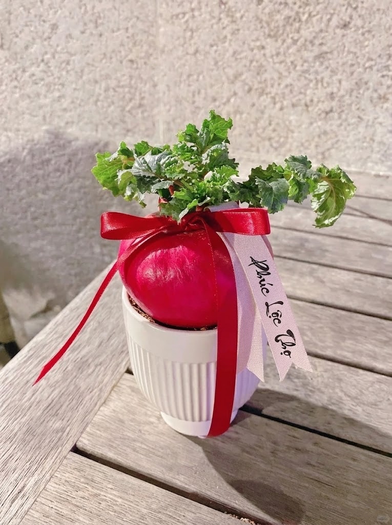 Trend lạ đón Tết: Ra chợ mua củ cải đỏ về cắm bình, ai ngờ thành chậu "Hồng Vận Đương Đầu" hút lộc cực xinh! - Ảnh 9.