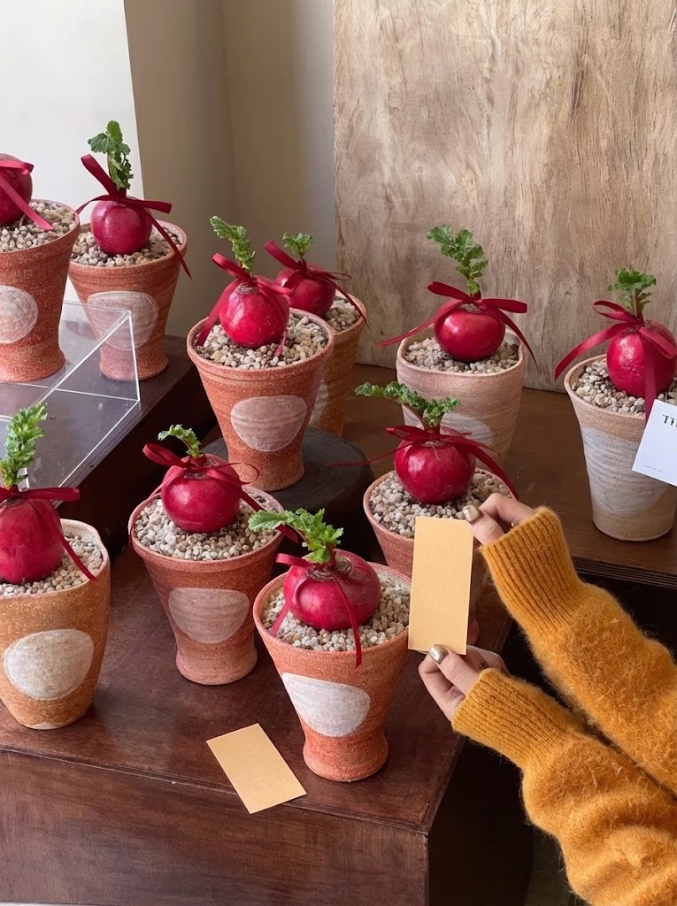 Trend lạ đón Tết: Ra chợ mua củ cải đỏ về cắm bình, ai ngờ thành chậu "Hồng Vận Đương Đầu" hút lộc cực xinh! - Ảnh 2.