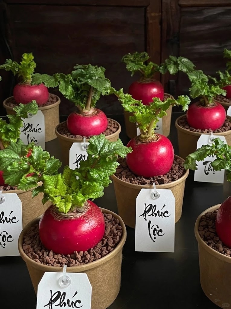 Trend lạ đón Tết: Ra chợ mua củ cải đỏ về cắm bình, ai ngờ thành chậu "Hồng Vận Đương Đầu" hút lộc cực xinh! - Ảnh 3.