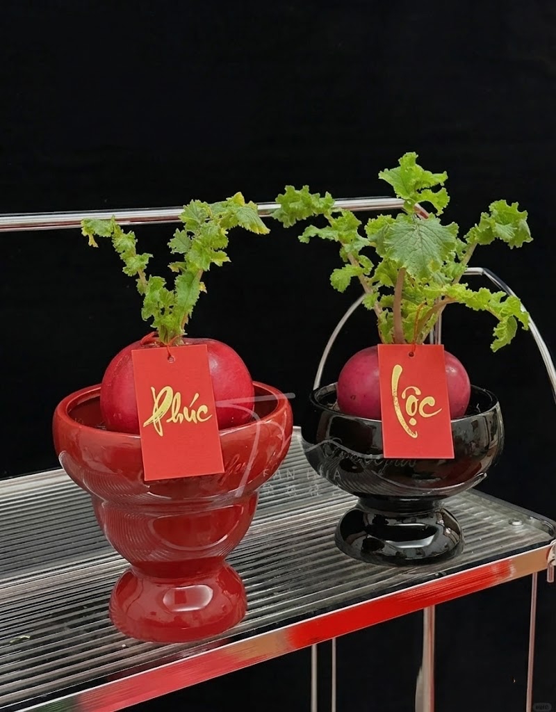 Trend lạ đón Tết: Ra chợ mua củ cải đỏ về cắm bình, ai ngờ thành chậu "Hồng Vận Đương Đầu" hút lộc cực xinh! - Ảnh 8.
