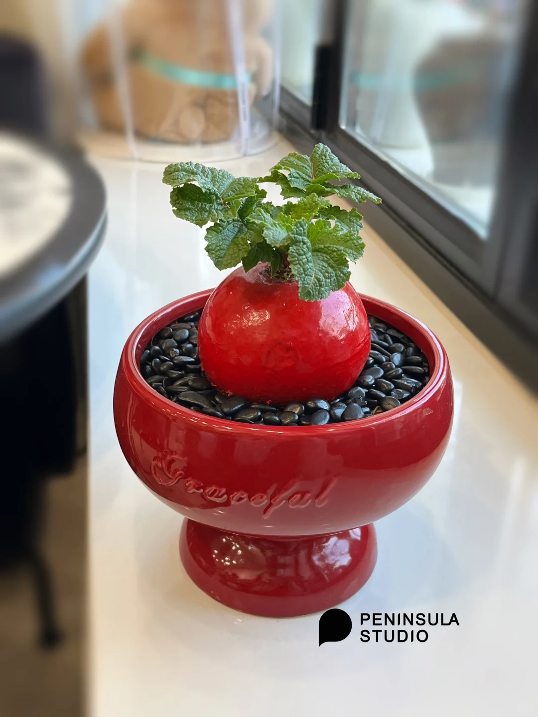 Trend lạ đón Tết: Ra chợ mua củ cải đỏ về cắm bình, ai ngờ thành chậu "Hồng Vận Đương Đầu" hút lộc cực xinh! - Ảnh 13.