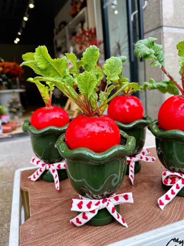 Trend lạ đón Tết: Ra chợ mua củ cải đỏ về cắm bình, ai ngờ thành chậu "Hồng Vận Đương Đầu" hút lộc cực xinh! - Ảnh 6.