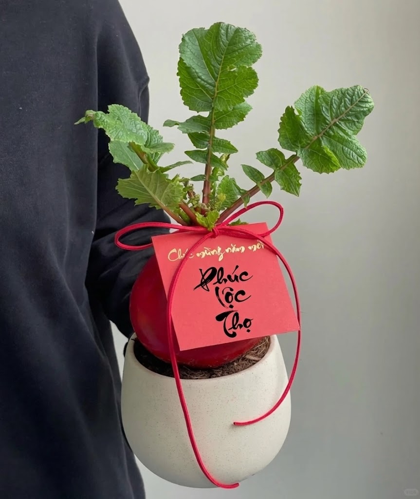 Trend lạ đón Tết: Ra chợ mua củ cải đỏ về cắm bình, ai ngờ thành chậu "Hồng Vận Đương Đầu" hút lộc cực xinh! - Ảnh 11.