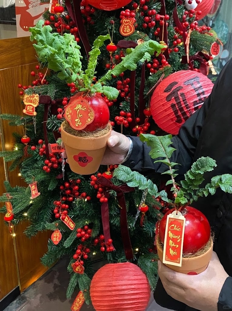 Trend lạ đón Tết: Ra chợ mua củ cải đỏ về cắm bình, ai ngờ thành chậu "Hồng Vận Đương Đầu" hút lộc cực xinh! - Ảnh 4.