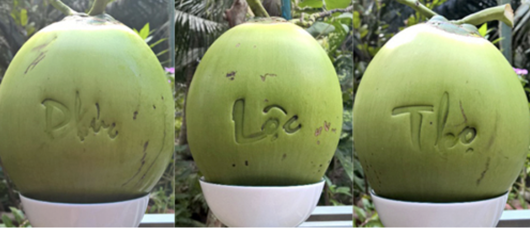 Thị trường Tết không còn mặn mà với trái cây "độc, lạ"? - Ảnh 1. Thị trường Tết không còn mặn mà với trái cây "độc, lạ"? - Ảnh 1.