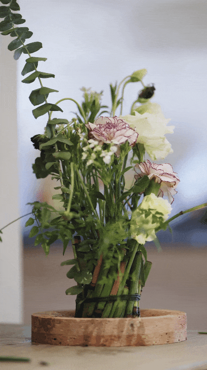 Không gửi bố mẹ vào viện dưỡng lão, tôi tự tạo một "viện dưỡng lão tại gia", và đó là khoản đầu tư đúng nhất sau tuổi 30- Ảnh 8.