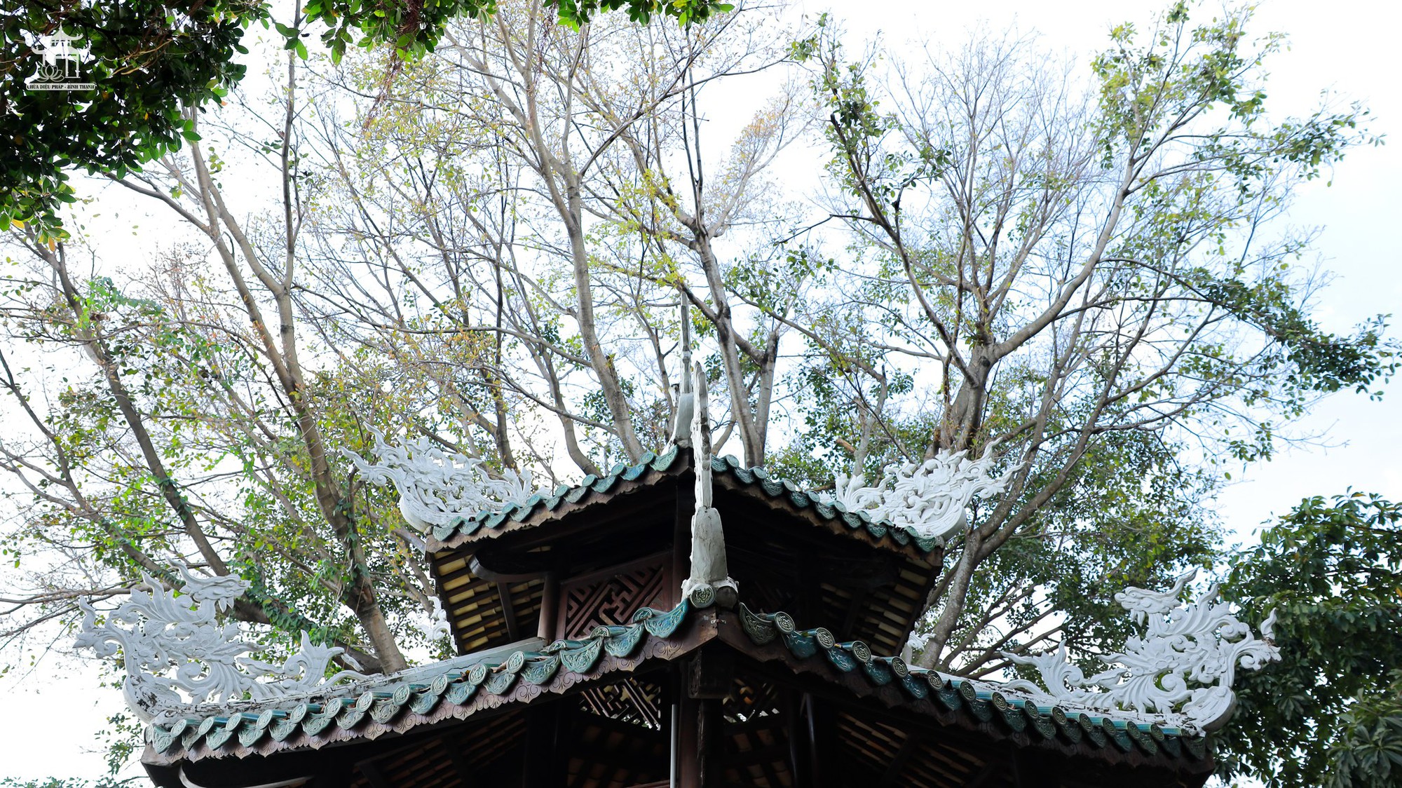 10 địa điểm chụp ảnh Tết miễn phí đang gây bão tại TP.HCM, vừa cổ kính lại đẹp tựa phim trường- Ảnh 14. 10 địa điểm chụp ảnh Tết miễn phí đang gây bão tại TP.HCM, vừa cổ kính lại đẹp tựa phim trường- Ảnh 14.