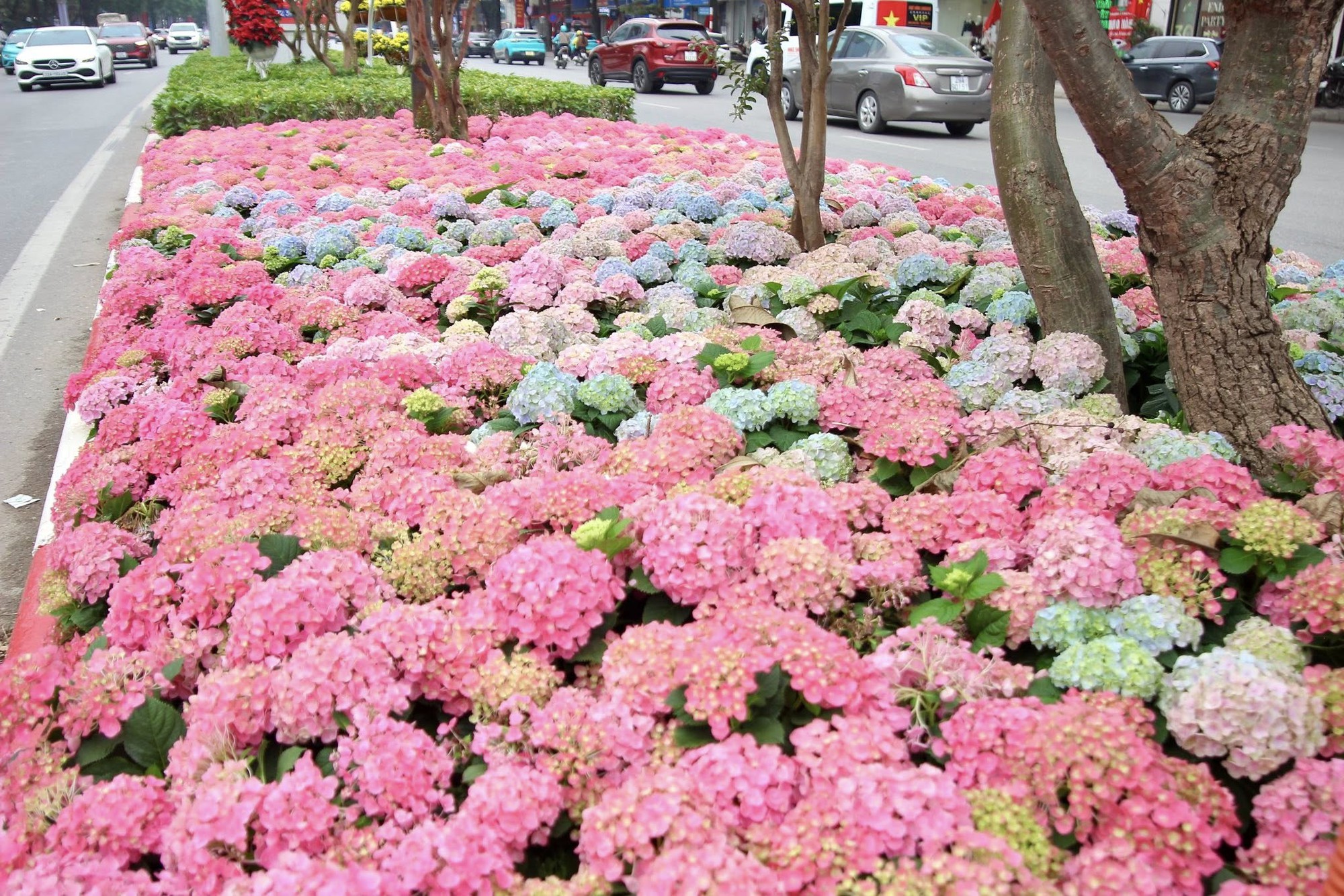 Một góc đường Trần Duy Hưng, Hà Nội gây chú ý - Ảnh 4.