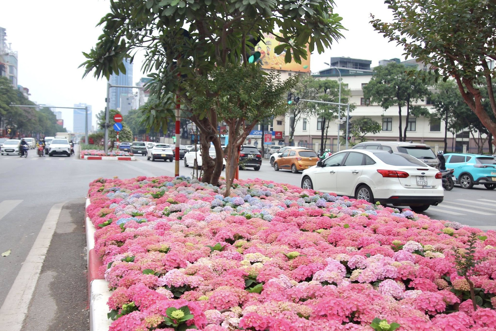 Một góc đường Trần Duy Hưng, Hà Nội gây chú ý - Ảnh 6.