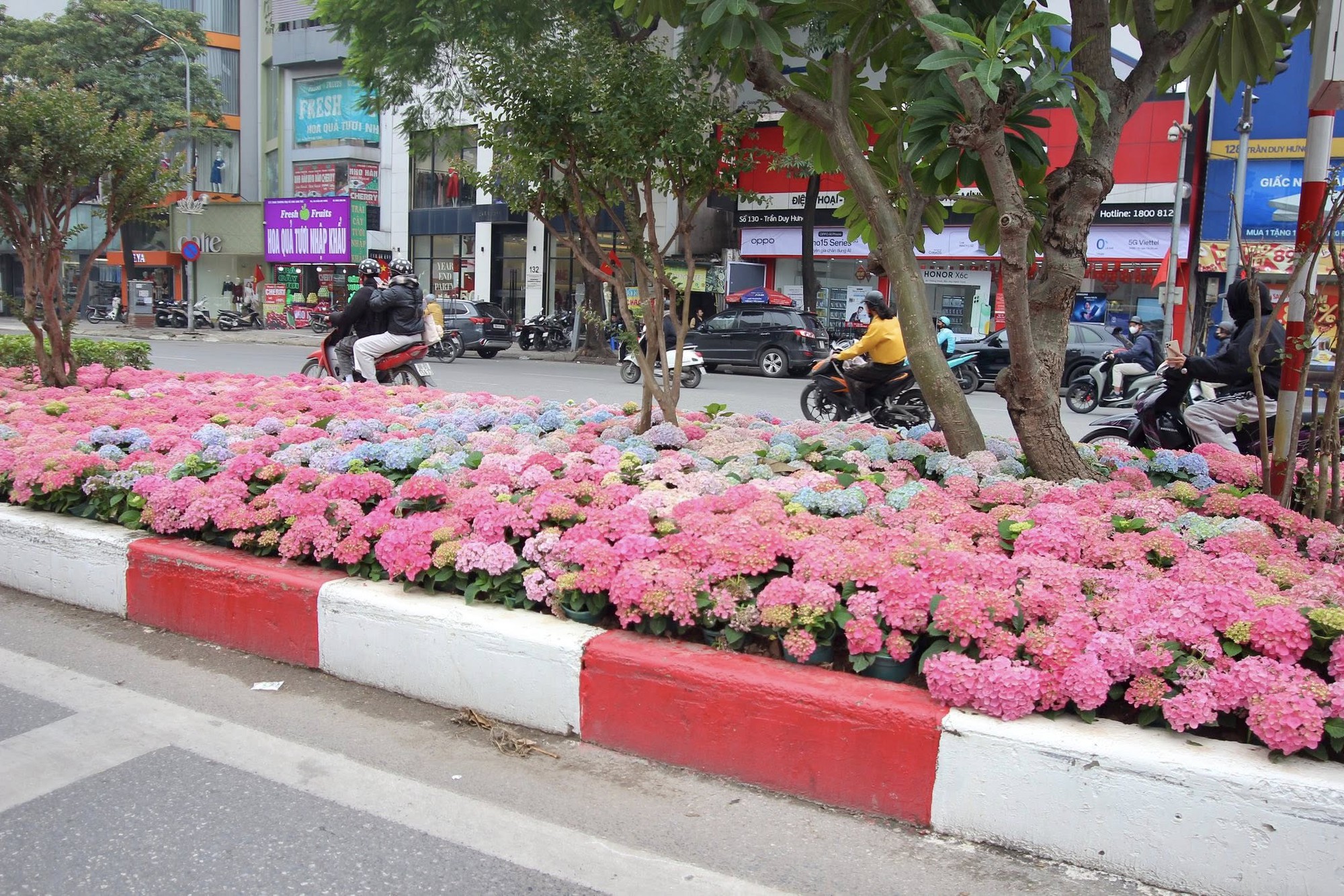 Một góc đường Trần Duy Hưng, Hà Nội gây chú ý - Ảnh 1.