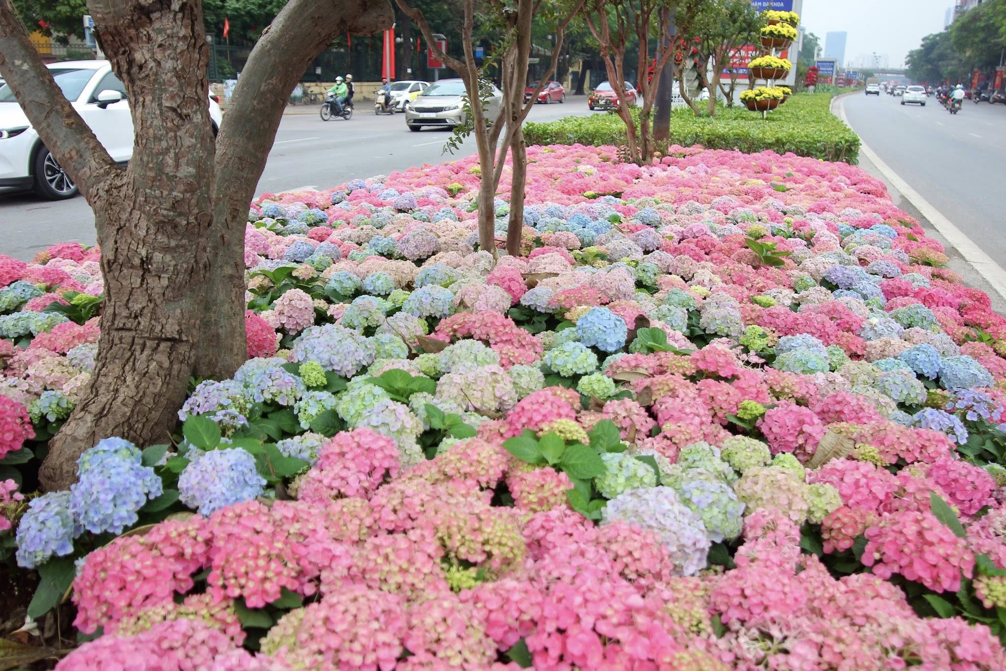 Một góc đường Trần Duy Hưng, Hà Nội gây chú ý - Ảnh 3.