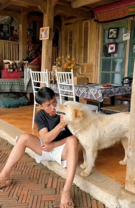 30 tuổi, rời Hà Nội sau 10 năm sinh sống, lên núi làm vườn, dựng nhà sống chill: Chi phí sinh hoạt còn 1/3 nhưng cái giá tôi phải trả cũng không hề đơn giản- Ảnh 4.