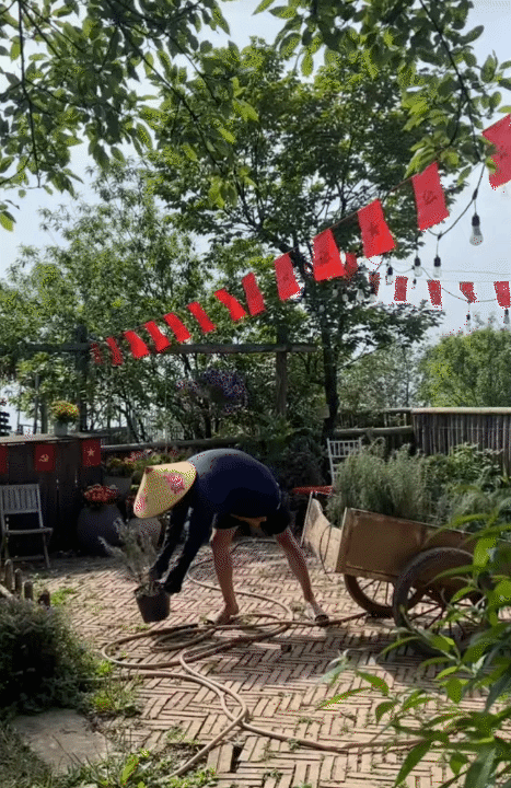 30 tuổi, rời Hà Nội sau 10 năm sinh sống, lên núi làm vườn, dựng nhà sống chill: Chi phí sinh hoạt còn 1/3 nhưng cái giá tôi phải trả cũng không hề đơn giản- Ảnh 11.