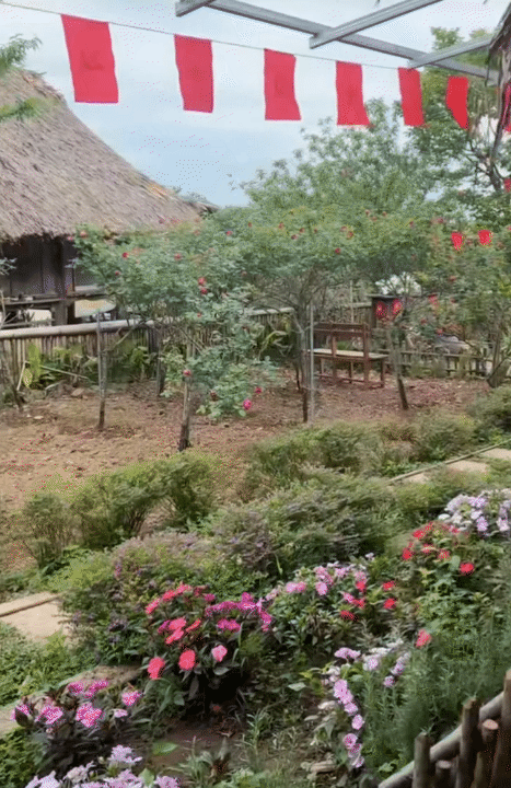 30 tuổi, rời Hà Nội sau 10 năm sinh sống, lên núi làm vườn, dựng nhà sống chill: Chi phí sinh hoạt còn 1/3 nhưng cái giá tôi phải trả cũng không hề đơn giản- Ảnh 12.