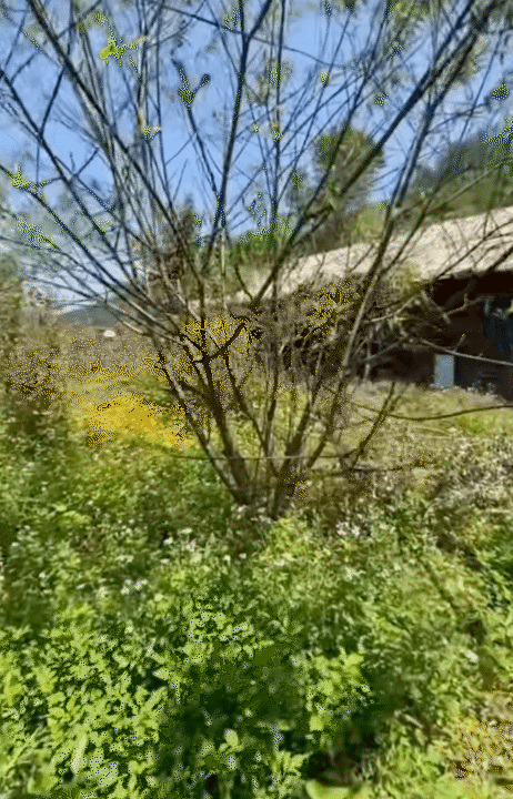 30 tuổi, rời Hà Nội sau 10 năm sinh sống, lên núi làm vườn, dựng nhà sống chill: Chi phí sinh hoạt còn 1/3 nhưng cái giá tôi phải trả cũng không hề đơn giản- Ảnh 5.