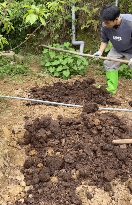 30 tuổi, rời Hà Nội sau 10 năm sinh sống, lên núi làm vườn, dựng nhà sống chill: Chi phí sinh hoạt còn 1/3 nhưng cái giá tôi phải trả cũng không hề đơn giản- Ảnh 6.