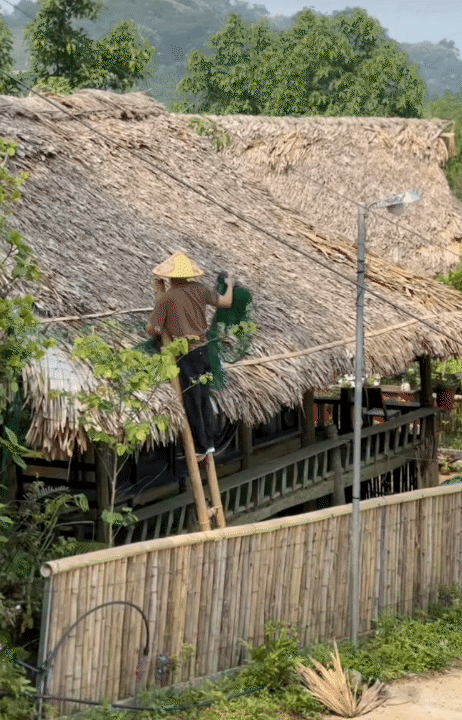 30 tuổi, rời Hà Nội sau 10 năm sinh sống, lên núi làm vườn, dựng nhà sống chill: Chi phí sinh hoạt còn 1/3 nhưng cái giá tôi phải trả cũng không hề đơn giản- Ảnh 8.