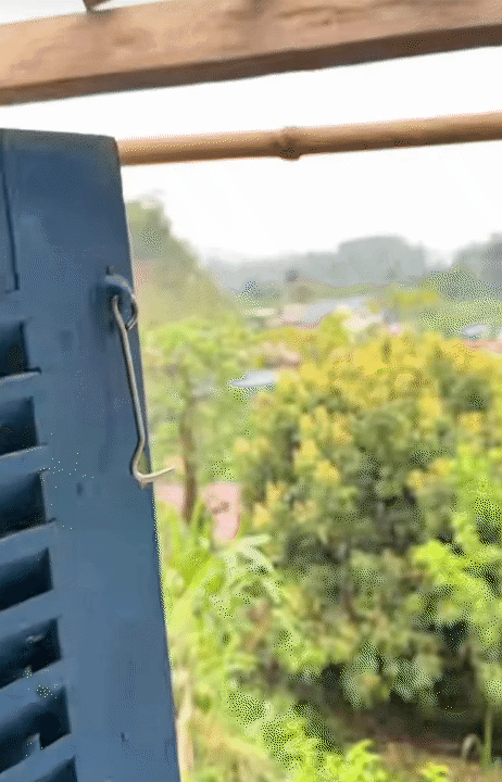 30 tuổi, rời Hà Nội sau 10 năm sinh sống, lên núi làm vườn, dựng nhà sống chill: Chi phí sinh hoạt còn 1/3 nhưng cái giá tôi phải trả cũng không hề đơn giản- Ảnh 17.