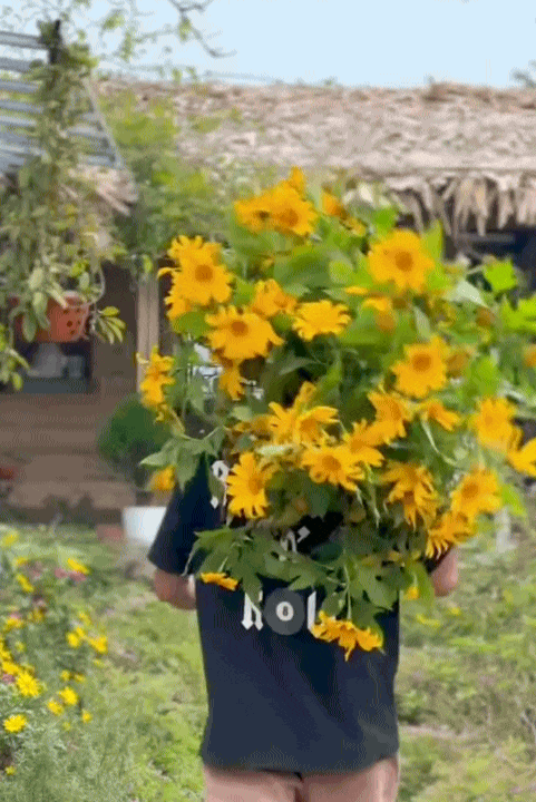 30 tuổi, rời Hà Nội sau 10 năm sinh sống, lên núi làm vườn, dựng nhà sống chill: Chi phí sinh hoạt còn 1/3 nhưng cái giá tôi phải trả cũng không hề đơn giản- Ảnh 3.