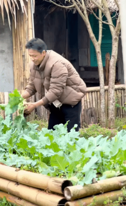 30 tuổi, rời Hà Nội sau 10 năm sinh sống, lên núi làm vườn, dựng nhà sống chill: Chi phí sinh hoạt còn 1/3 nhưng cái giá tôi phải trả cũng không hề đơn giản- Ảnh 19.