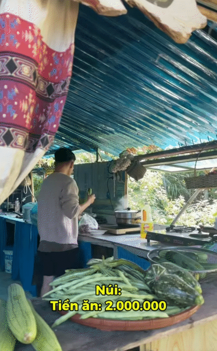 30 tuổi, rời Hà Nội sau 10 năm sinh sống, lên núi làm vườn, dựng nhà sống chill: Chi phí sinh hoạt còn 1/3 nhưng cái giá tôi phải trả cũng không hề đơn giản- Ảnh 14.