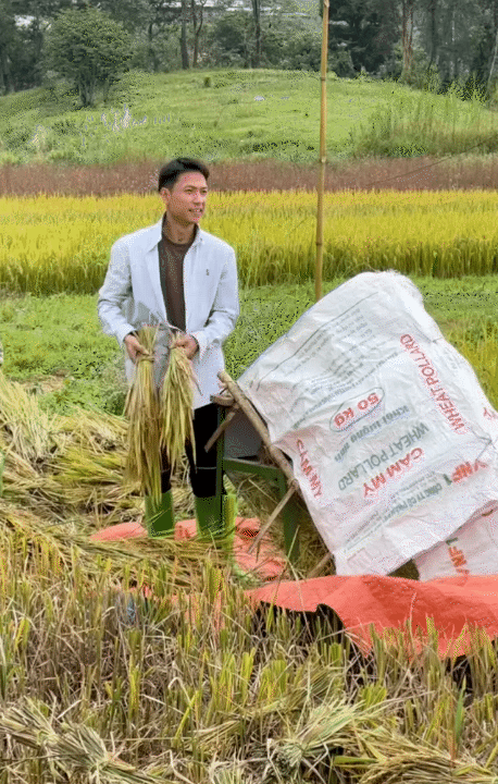 30 tuổi, rời Hà Nội sau 10 năm sinh sống, lên núi làm vườn, dựng nhà sống chill: Chi phí sinh hoạt còn 1/3 nhưng cái giá tôi phải trả cũng không hề đơn giản- Ảnh 2.