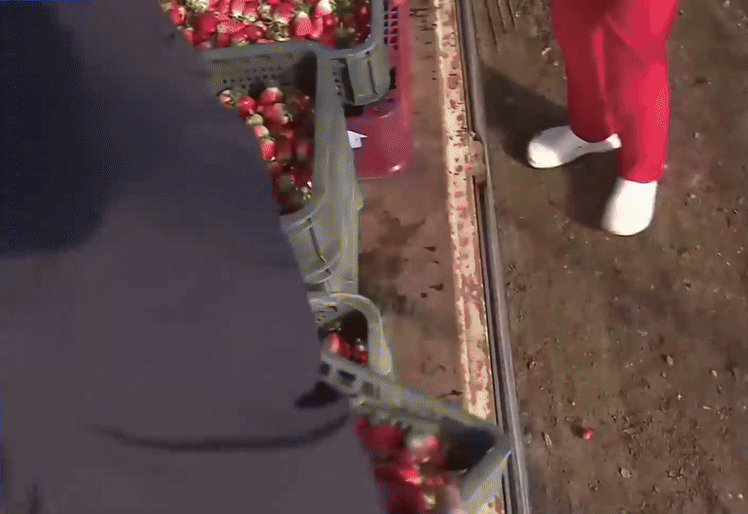 Hàn Quốc ngay lúc này: Cảnh tượng khiến hàng nghìn người đứt ruột tiếc nuối- Ảnh 1. Hàn Quốc ngay lúc này: Cảnh tượng khiến hàng nghìn người đứt ruột tiếc nuối- Ảnh 1.