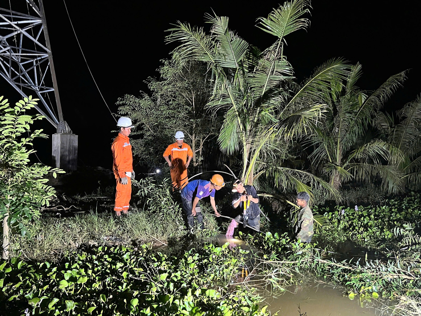 Về đích công trình đường dây 110kV Trần Đề - Trạm 220kV Sóc Trăng tại Cần Thơ- Ảnh 2.
