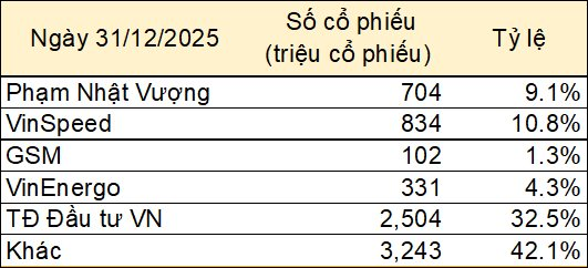 Đằng sau việc góp vốn bằng cổ phiếu Vingroup vào Vinspeed- Ảnh 1.
